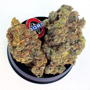 Chocolope