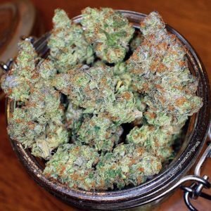 Durban Poison