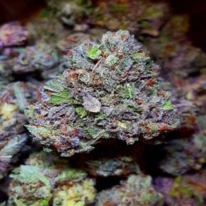 Hindu Kush