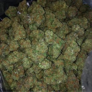 Northern Lights