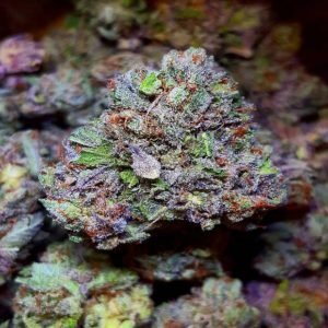 Blueberry Kush