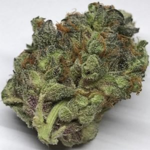 Critical Mass