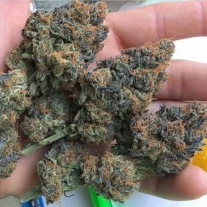 Grandaddy Purple