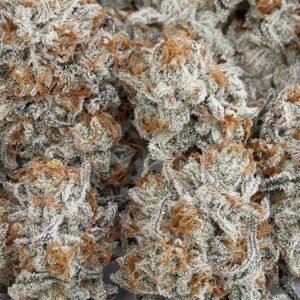 Kosher Kush